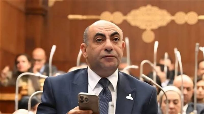 النائب محمد إبراهيم