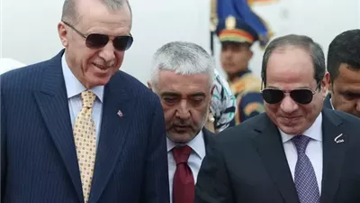 زيارة أردوغان لمصر تثير جدلًا في إسرائيل.. هل يتشكل محور إقليمي جديد؟