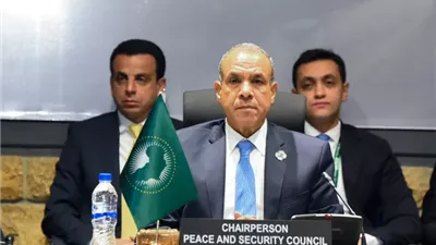 مصر تقود مشاورات إفريقية رفيعة حول السودان.. وتؤكد دعمها لوحدته واستقراره