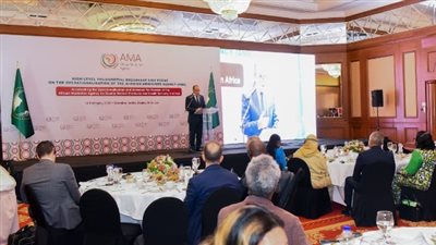 مصر تعرض خبراتها لدعم وكالة الدواء الإفريقية وتعزيز التصنيع الدوائي بالقارة