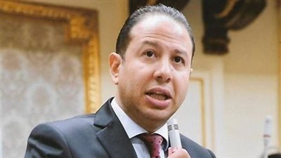 برلماني: تشكيبل المجالس المحلية تضمن وصول ثمار التنمية لكل قرية ومركز