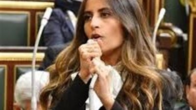 عضو لجنة العلاقات الخارجية بالنواب: الدولة تضع المواطن في قلب أولوياتها