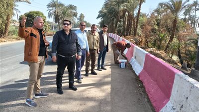 رئيس مركز طهطا يشرف على تجميل المدخل الشرقي لقرية السوالم.. صور