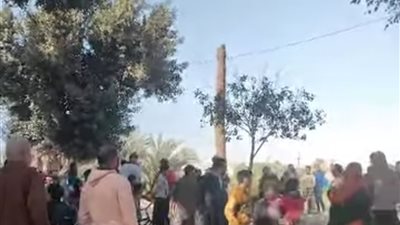 رعب في المنيا.. العثور على شوال مليء بالأجنة في مساكن كدوان