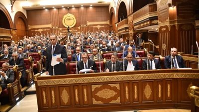 «الشيوخ» يناقش الأثر التشريعي لقوانين العقوبات وتقنية المعلومات والاستثمار