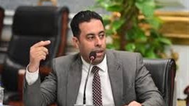 النائب احمد فرغلي