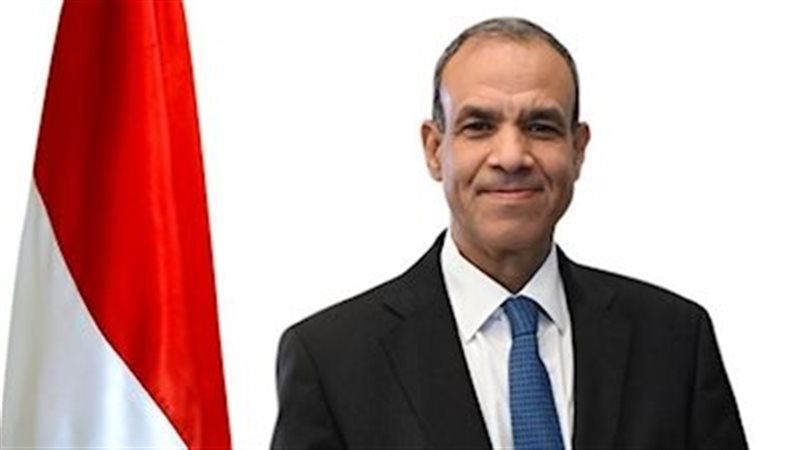 السفير بدر عبد العاطي