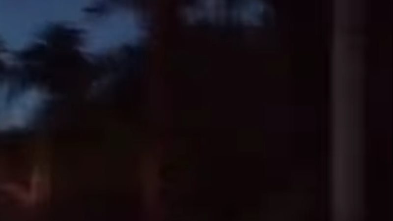 قرى كفر الشيخ