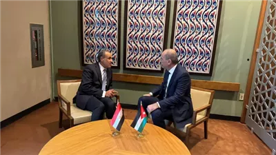 مصر والأردن يؤكدان ضرورة تنفيذ المرحلة الثانية من خطة ترامب في غزة