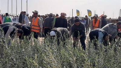 بحوث الصحراء ينظم ندوة علمية لدعم وتنمية زراعة الزيتون بشمال سيناء