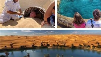 السياحة تستهدف حملات ترويجية لتنشيط السياحة العربية لمصر