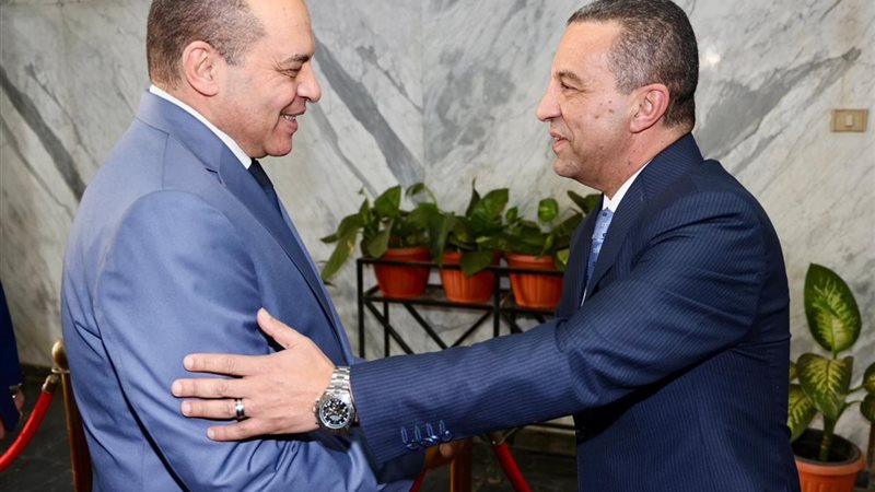 محافظ المنوفية يستقبل