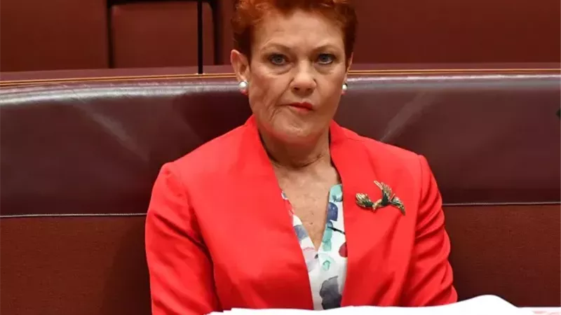 بولي هانسون