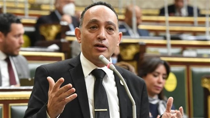 الدكتور فريدي البياضي، عضو مجلس النواب