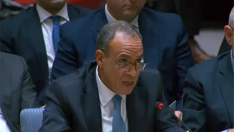 وزير الخارجية المصري