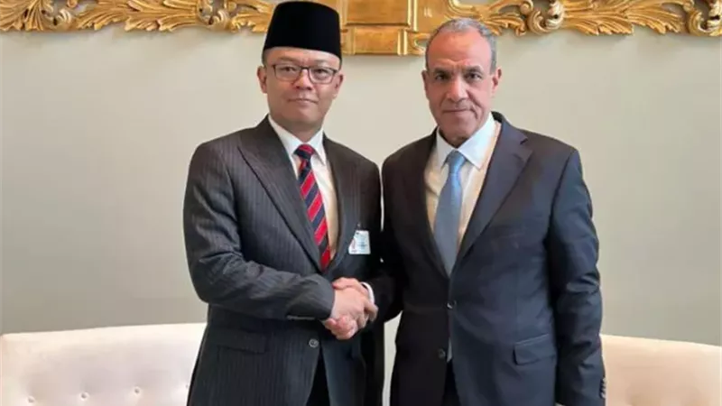 وزير الخارجية المصري