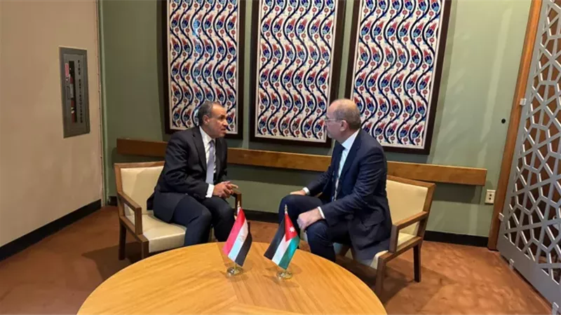 وزير الخارجية المصري