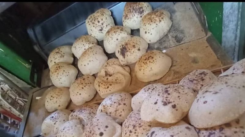 جانب من الحملة