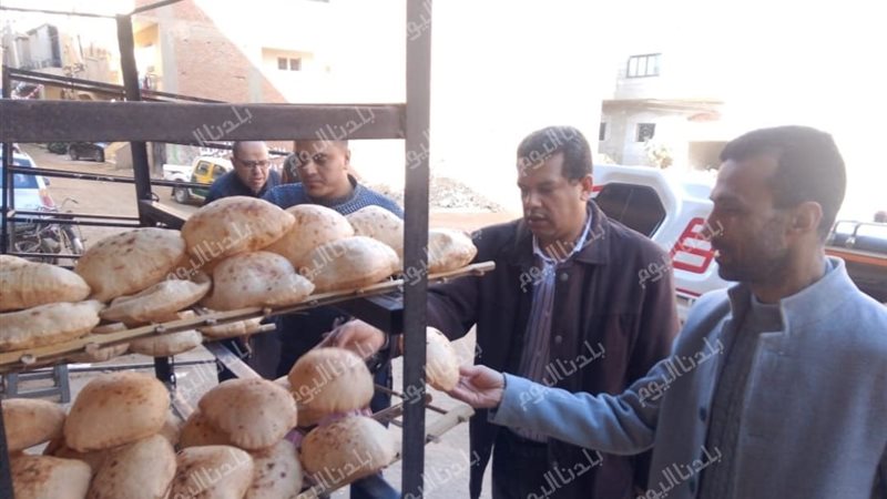 جانب من الحملات