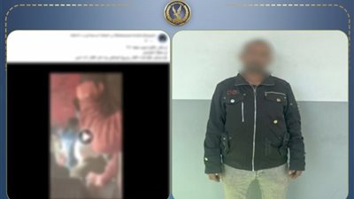 وزارة الداخلية تكشف ملابسات واقعة تلفيات في عربة قطار بمحطة أشمون