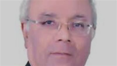 غرفة القليوبية التجارية: الصناعات الخضراء تقود المرحلة الجديدة لجذب الاستثمار بقناة السويس