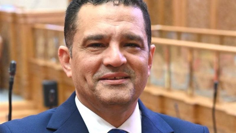 النائب أمير أحمد