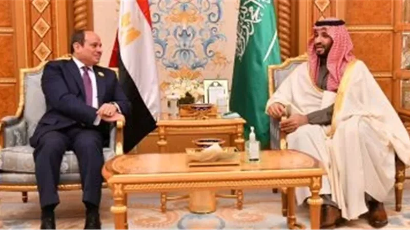 الرئيس السيسي يزور