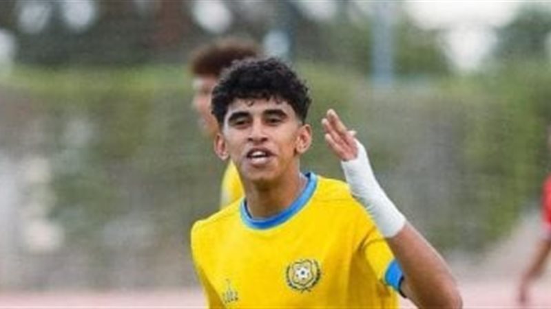 إبراهيم النجعاوي