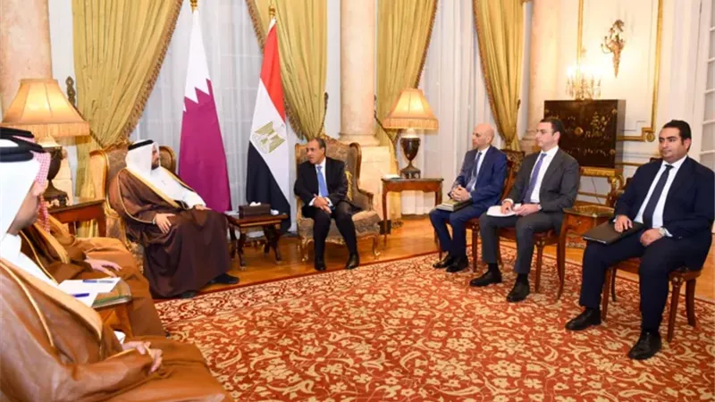 وزير الخارجية المصري