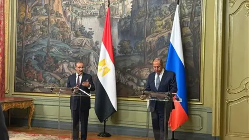 وزيرا الخارجية المصري