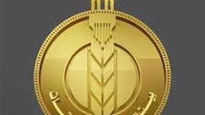 بالشراكة مع صندوق تحيا مصر.. بيت الزكاة والصدقات يدعم أهالي غزة