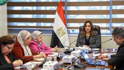 التنمية المحلية والبيئة والـUNDP شراكة استراتيجية لدفع عجلة التنمية الاقتصادية في 4 محافظات