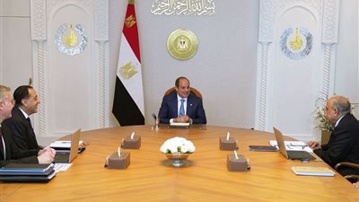 السيسي يتابع خطط تأمين الغاز والكهرباء.. ويؤكد تعزيز الاحتياطي الاستراتيجي للطاقة