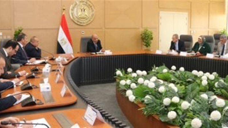 وزير الكهرباء والطاقة