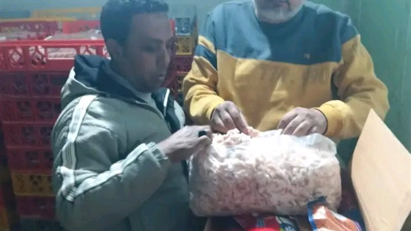 حملة تفتيشية للطب البيطرى بالدقهليه