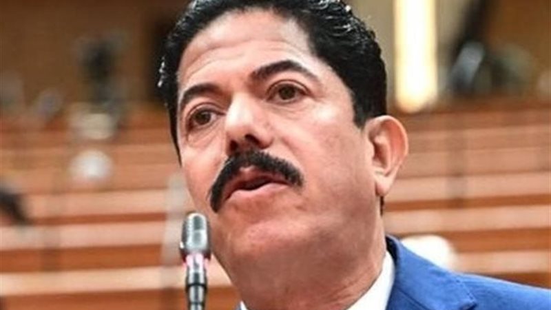 النائب علاء سليمان