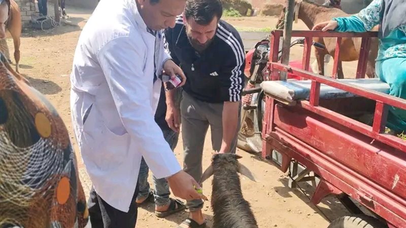  قوافل طبية بيطرية