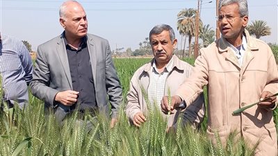 وكيل وزارة الزراعة بأسيوط يتفقد الحقول الإرشادية للقمح وزراعات البنجر 