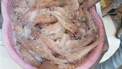 إعدام سلع منتهية الصلاحية وتحرير 96 محضرًا في حملات تفتيشية بالمنوفية 