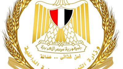 استقرار الأسواق وضبط الأسعار.. الحكومة تضمن توافر السلع الأساسية بعد تحريك أسعار الوقود