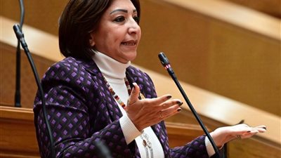  مها عبد الناصر: لا نعلم الأسس والمعايير الإقتصادية التي اعتمدتها الحكومة لتحديد هذه الزيادات