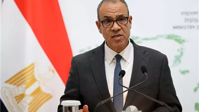 وزير الخارجية: مبادرة لتشكيل قوة عربية مشتركة لحماية الأمن القومي