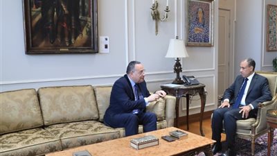 وزيرا الخارجية والتعليم العالى يبحثان سبل تعزيز التعاون والتنسيق بين الوزارتين