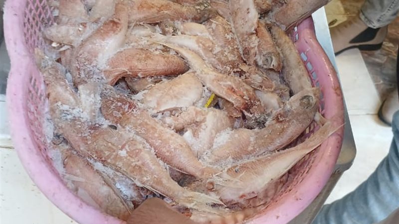 جانب من المضبوطات