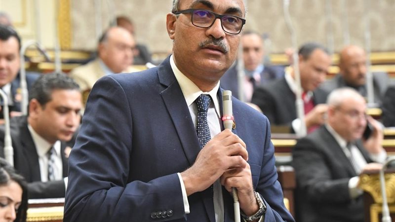 النائب إيهاب منصور،