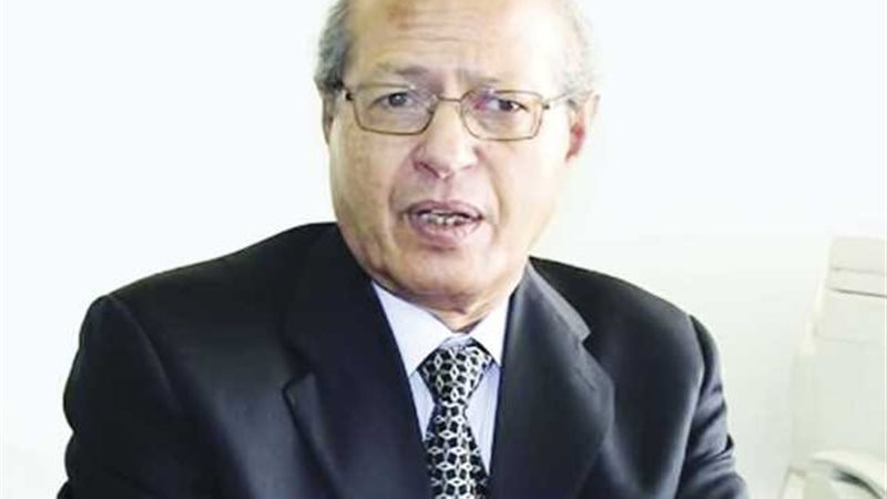 السفير رخا أحمد حسن