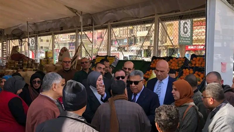 محافظ الدقهلية يتفقد