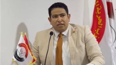 محمد رشيدي: مصر تقود جهود التهدئة في المنطقة