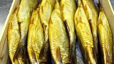  قبل عيد الفطر.. تعرف على أسعار الرنجة والفسيخ