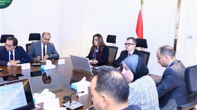 وزيرا التخطيط والتنمية المحلية والبيئة يستعرضان ملامح خطة 2026/2027